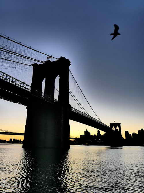 NYC_2020-01-26 06-55-22_P1070373